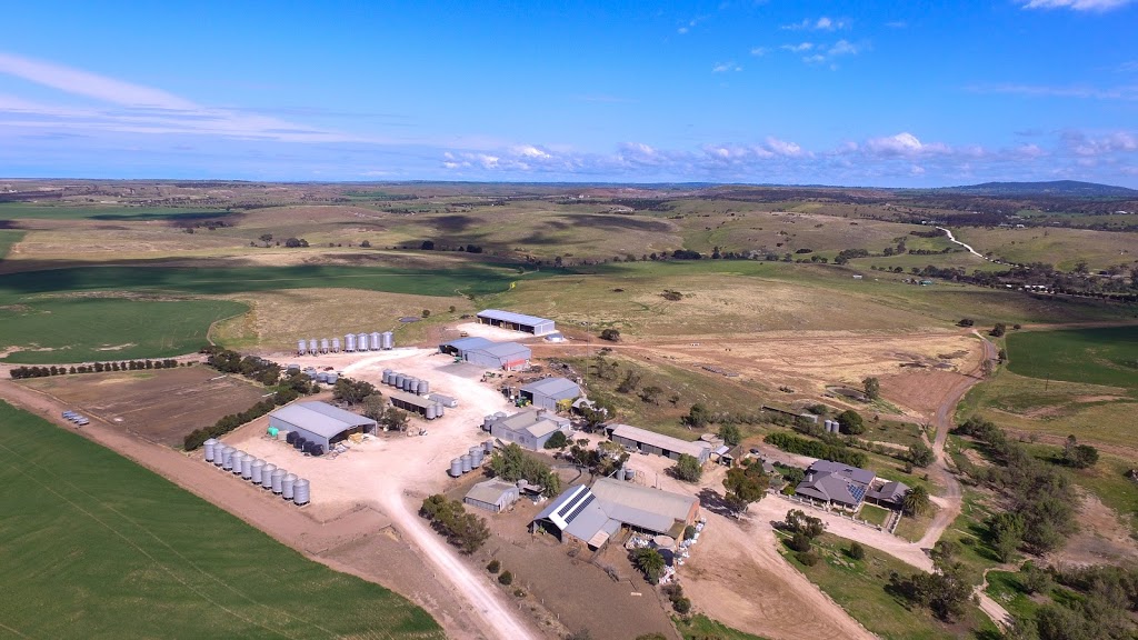 Colrae Farms |  | 333 Bremer Valley Rd, Callington SA 5254, Australia | 0418838552 OR +61 418 838 552