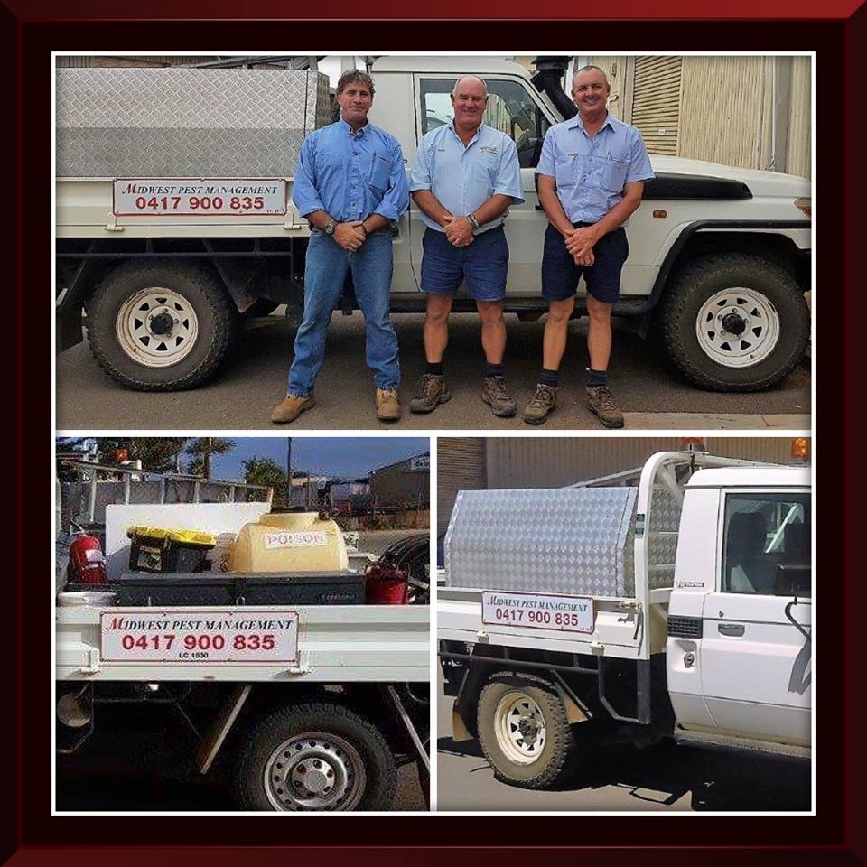 Midwest Pest Management | home goods store | 17A Stow St, Geraldton WA 6530, Australia | 0417900835 OR +61 417 900 835