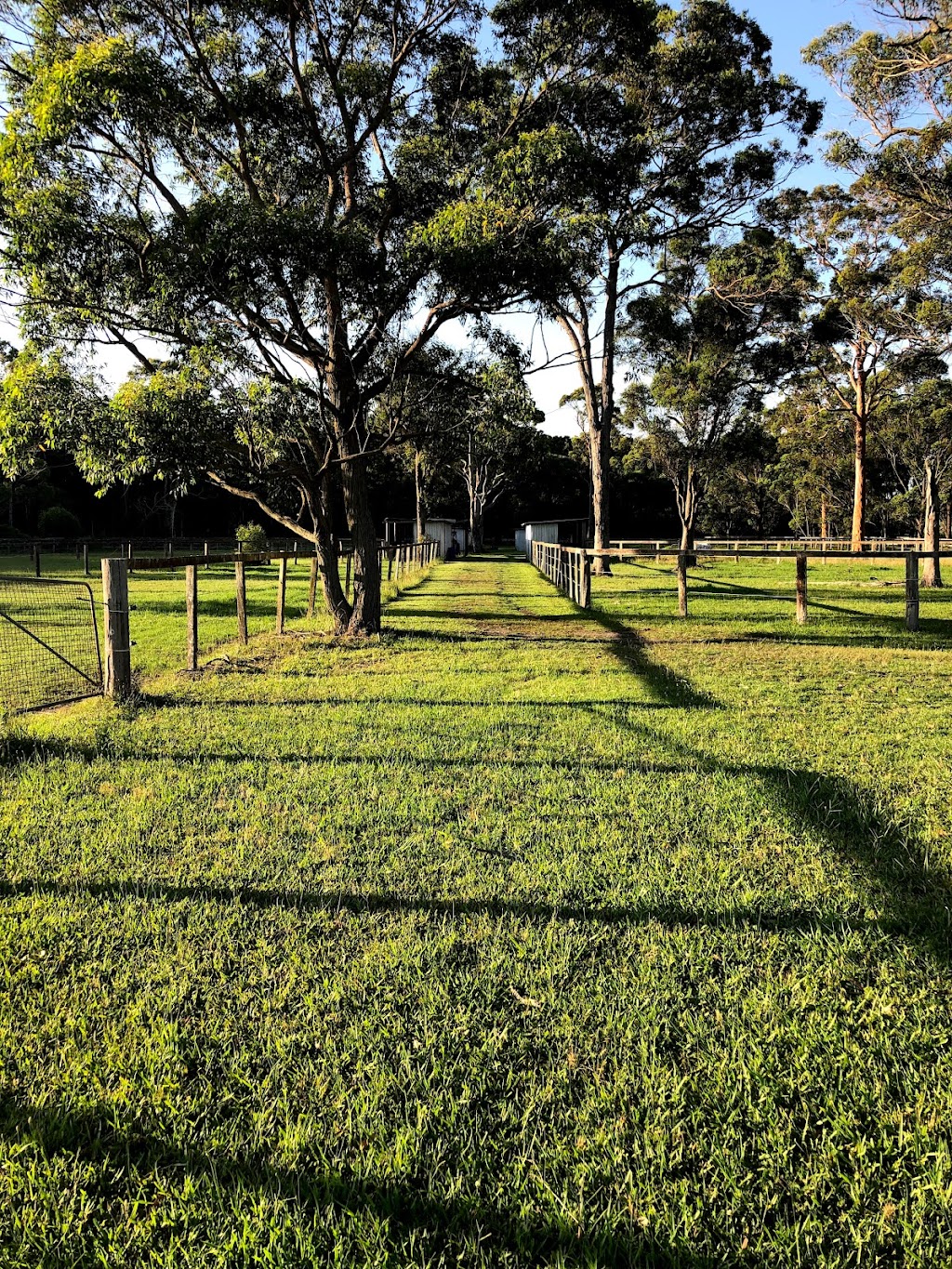 Brighton Park Boutique Agistment | 270 Bushells Ridge Rd, Wyee NSW 2259, Australia | Phone: 0411 113 045