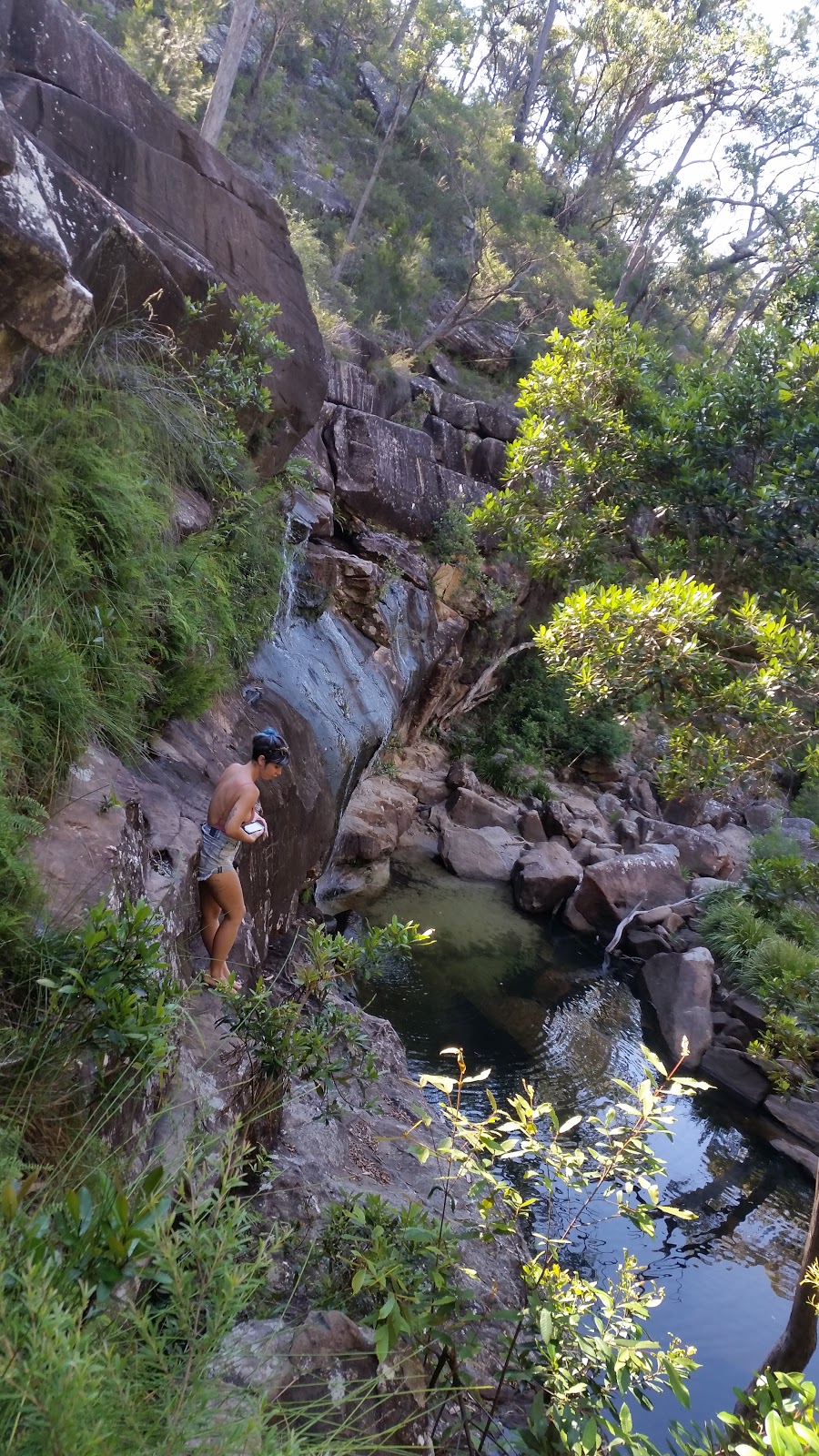 Scouts Falls | park | Middle Creek VIC 2450, Australia