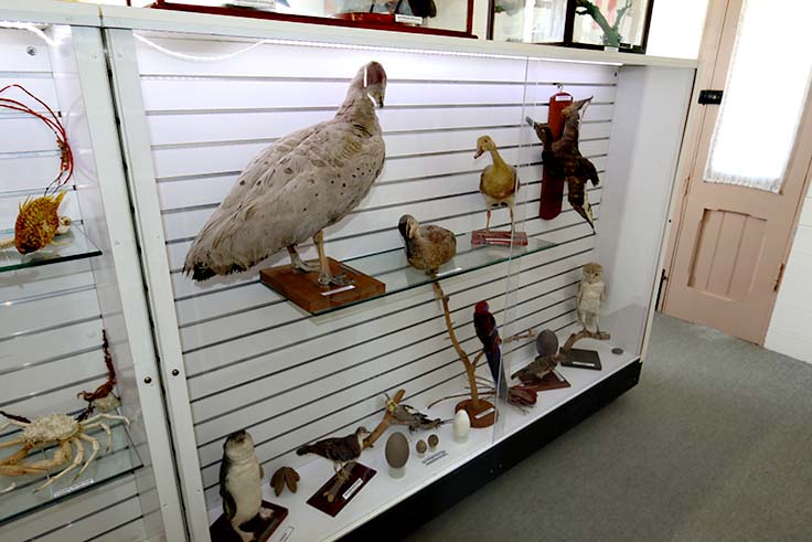 Emu Park Historical Museum | museum | 17 Hill St, Emu Park QLD 4710, Australia | 0749396080 OR +61 7 4939 6080