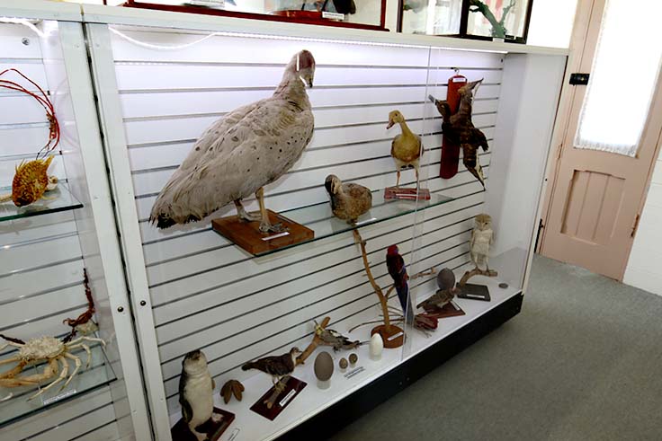 Emu Park Historical Museum | 17 Hill St, Emu Park QLD 4710, Australia | Phone: (07) 4939 6080