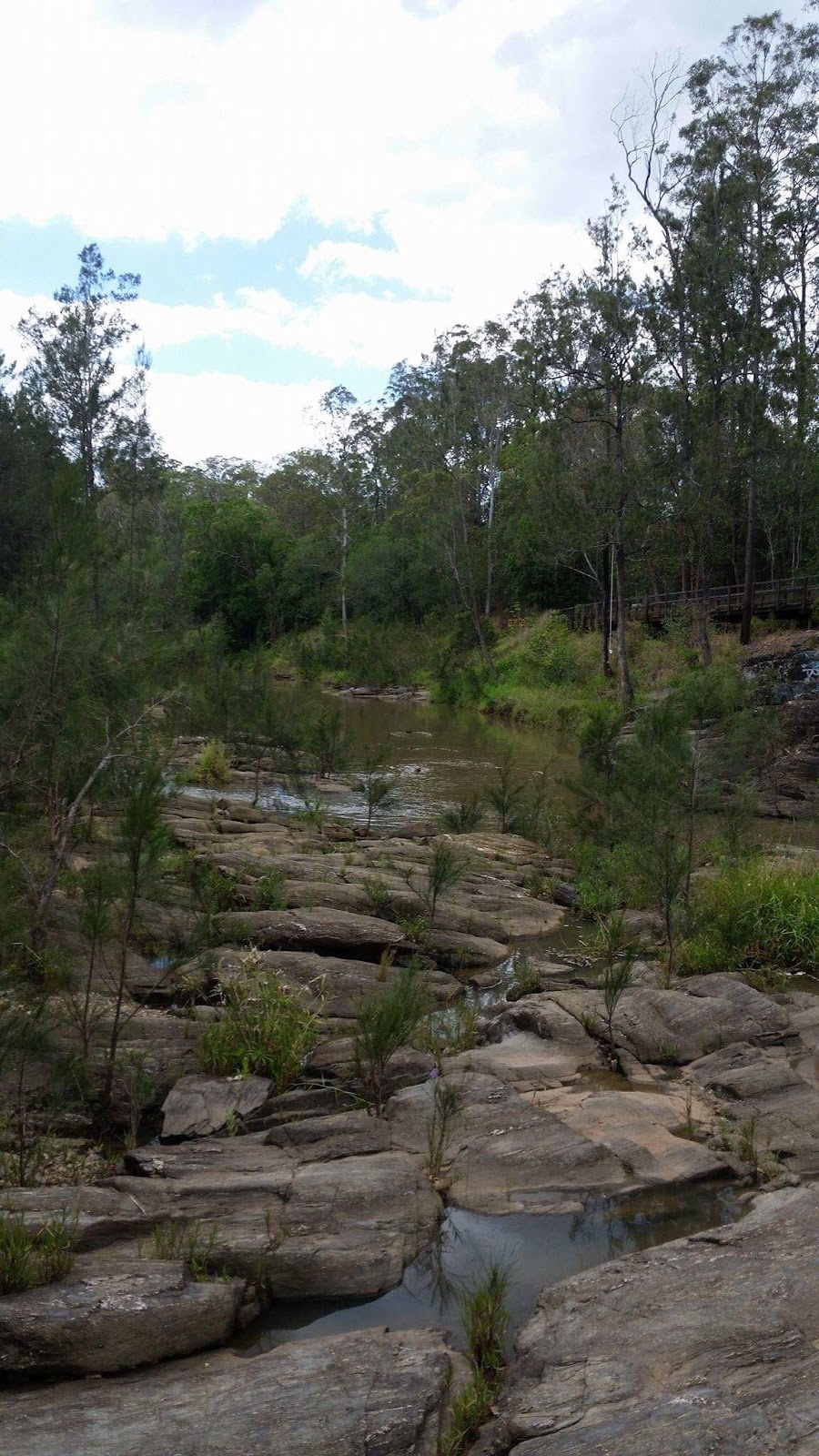 Cressbrook Drive Reserve | park | Queensland, Australia