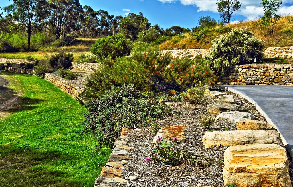 Banksia Garden | park | Caley Dr, Mount Annan NSW 2567, Australia | 0246347900 OR +61 2 4634 7900