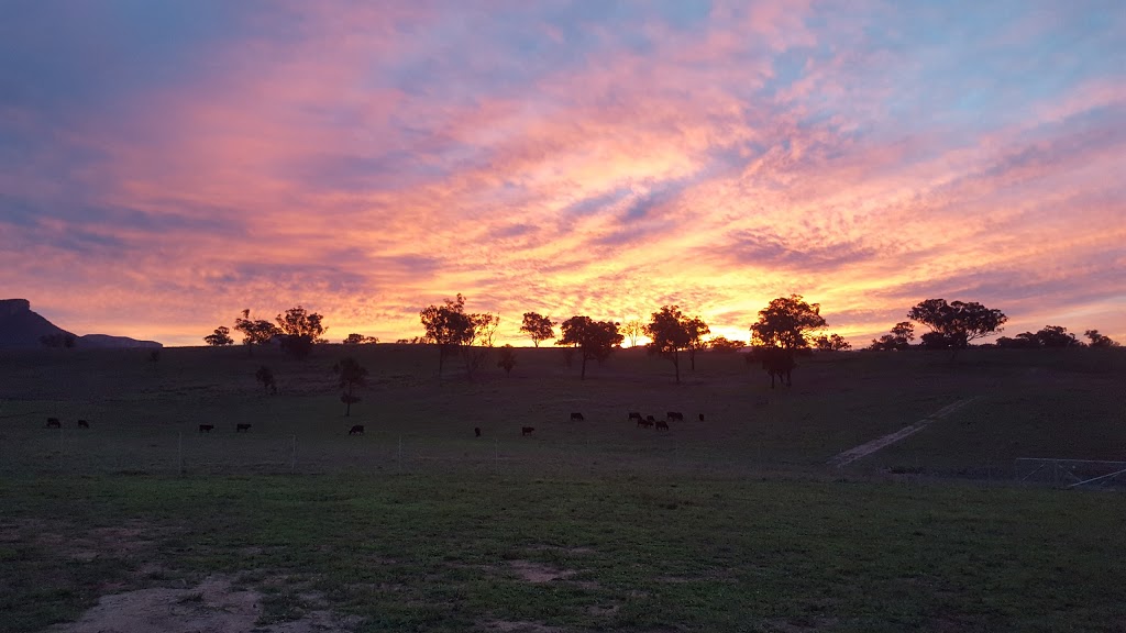 The Neverland Ranch | Glen Alice NSW 2849, Australia