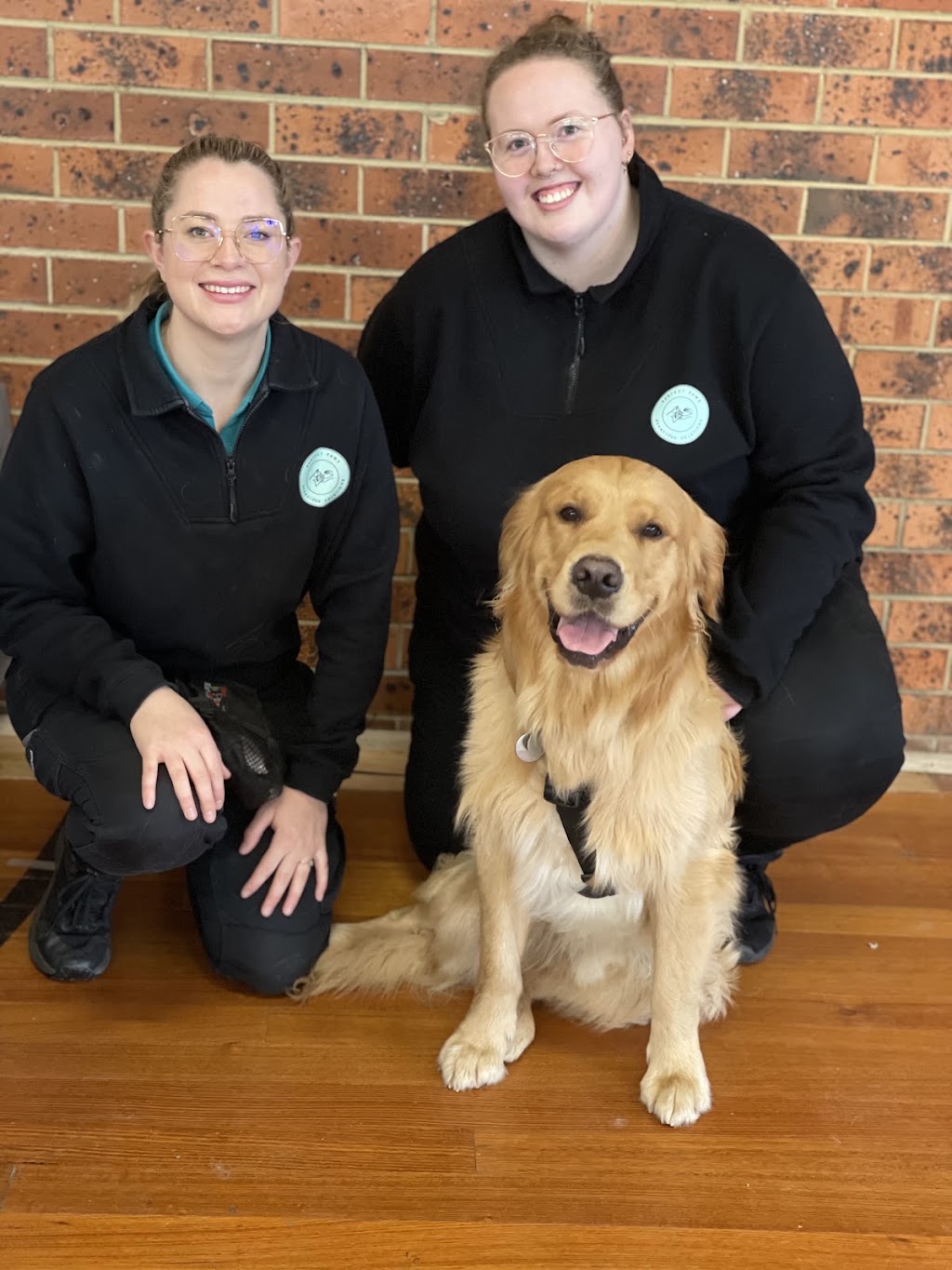 Perfect Paws Behaviour Solutions | Seville Community Hall, 590/602, B380, Warburton Hwy, Seville VIC 3139, Australia | Phone: 0479 151 920