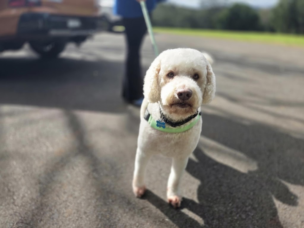 Botanipaws Spa | 122 Alstonvale Rd, Alstonvale NSW 2477, Australia | Phone: 0477 006 431