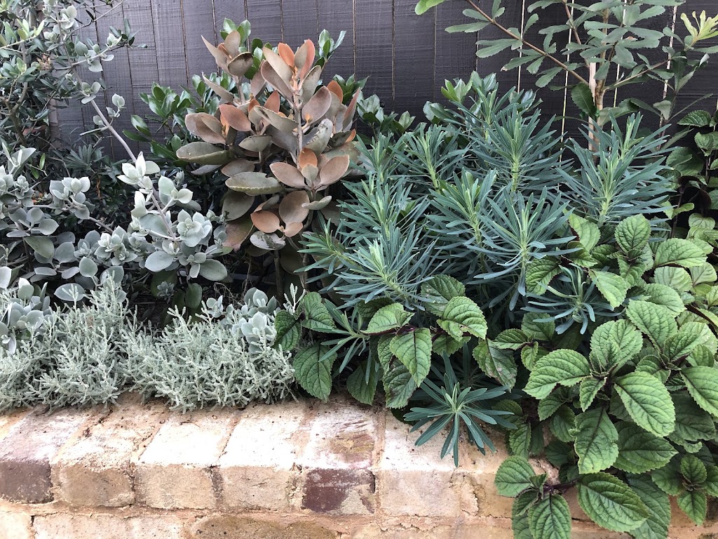 Tranquil Gardens Group | 256 Barrenjoey Rd, Newport NSW 2106, Australia | Phone: 0422 567 040