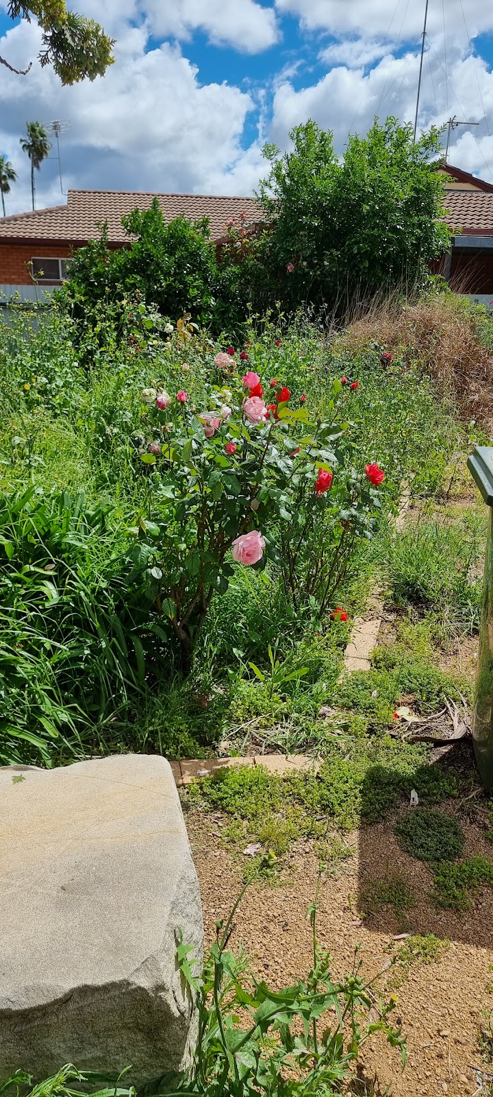 Panjab Lawn Care | 22a Biara St, Bargo NSW 2574, Australia | Phone: 0403 798 905