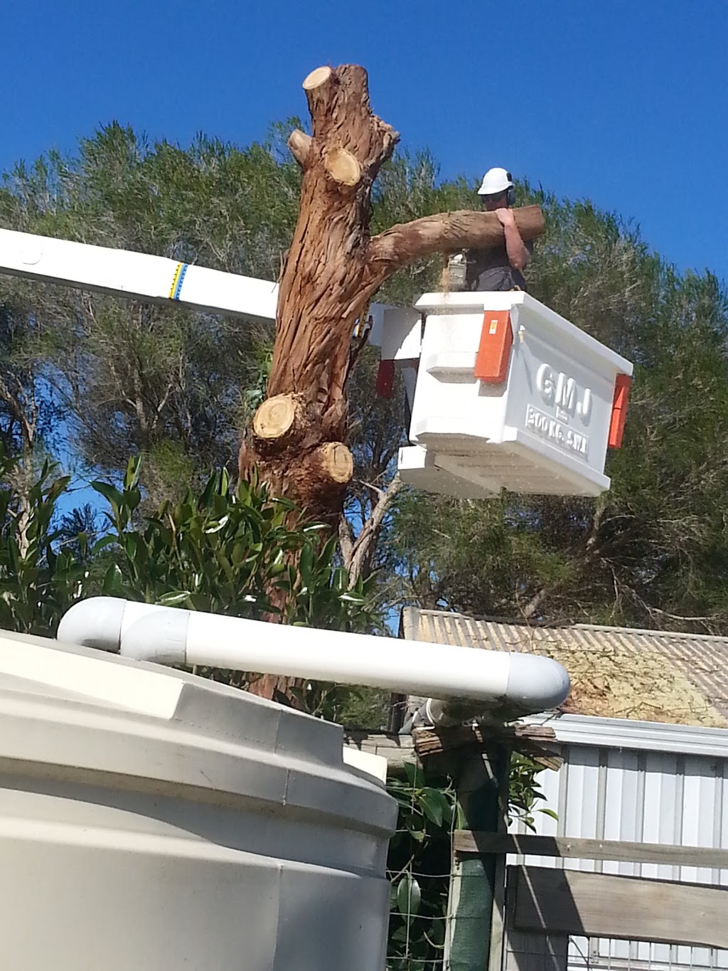 Treeworx south east | general contractor | Springs Drive, Naracoorte SA 5271, Australia | 0412997914 OR +61 412 997 914