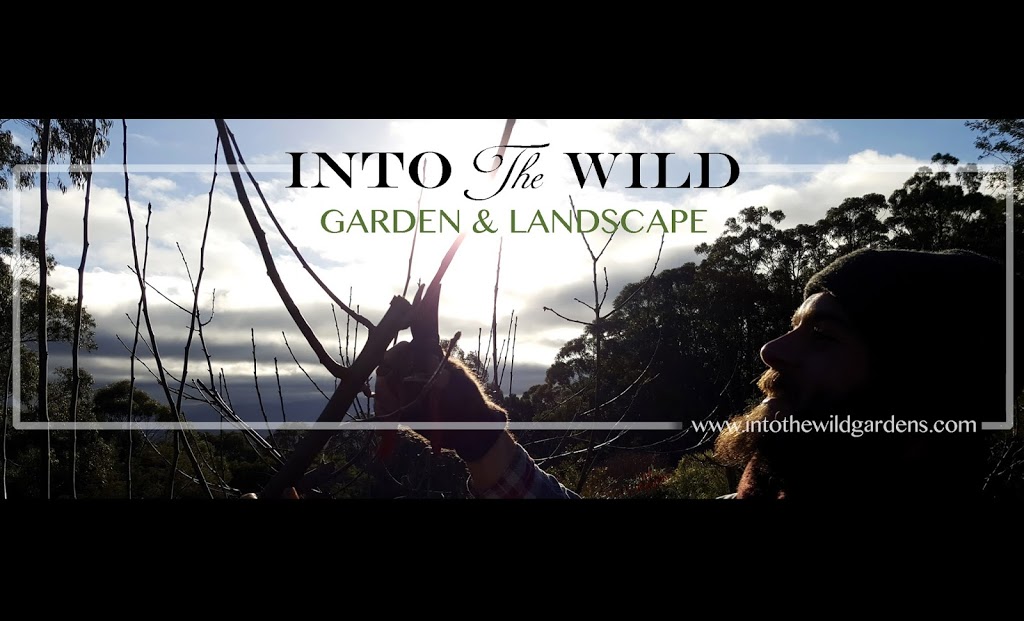 Into The Wild Garden & Landscape | store | Grantulla rd, Kallista VIC 3791, Australia | 0438071693 OR +61 438 071 693