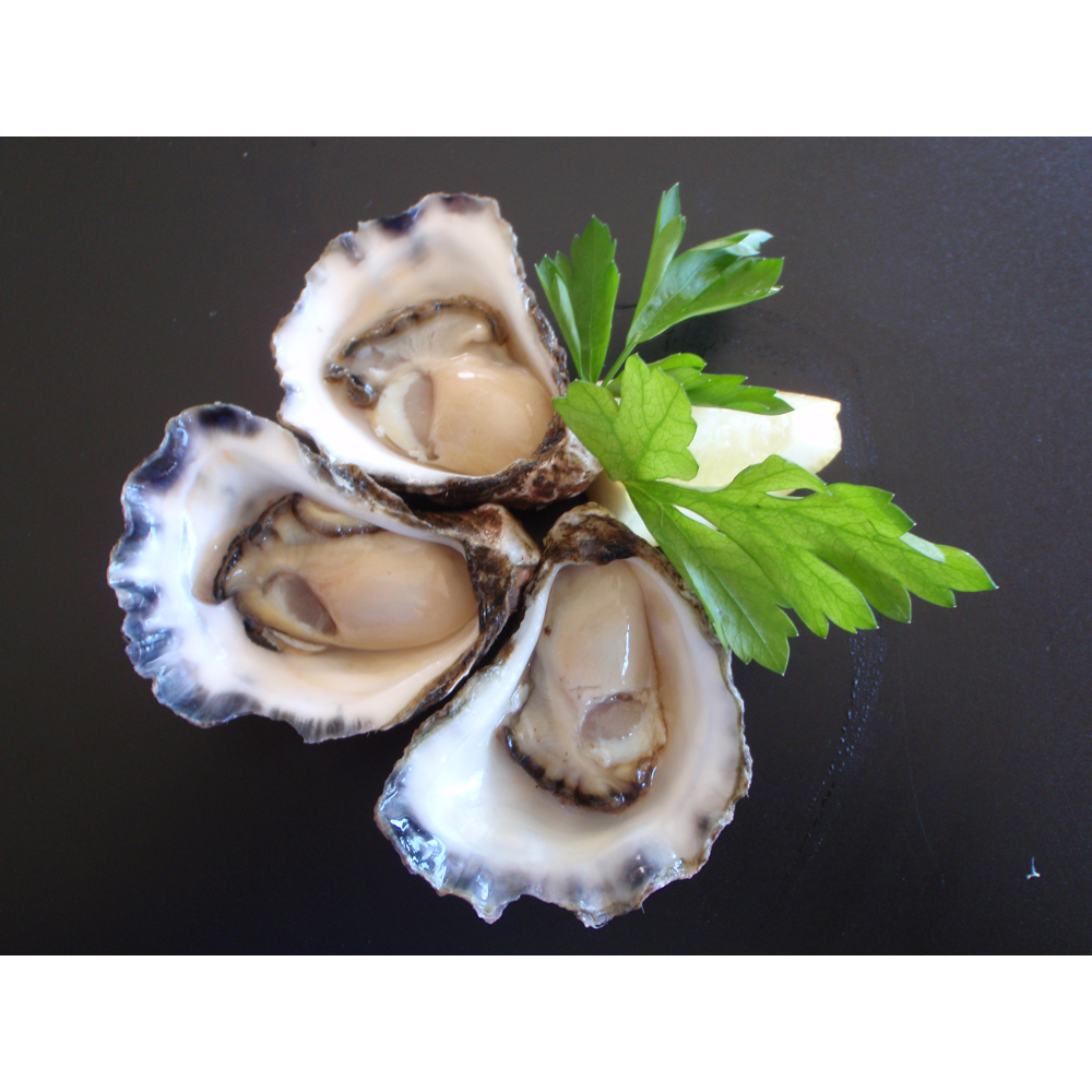 Wonboyn Rock Oysters |  | -37.251224, 149.917674, LOT 42 Nadgee Rd, Wonboyn NSW 2551, Australia | 0264969165 OR +61 2 6496 9165