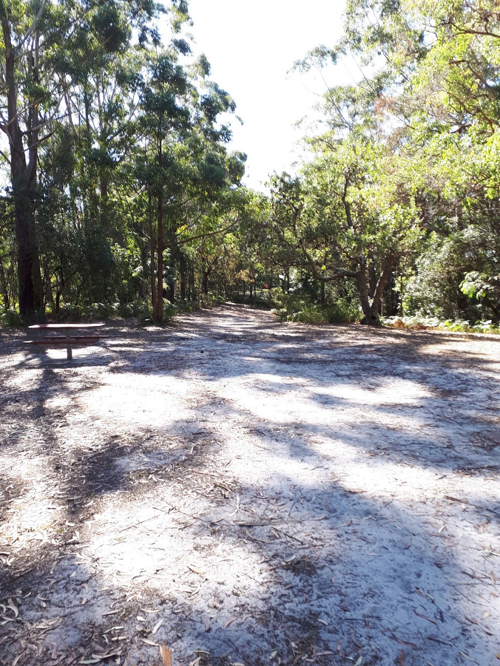 Watermans Walk, Katandra Picnic Area | park | 4 Croton Ave, Holgate NSW 2250, Australia