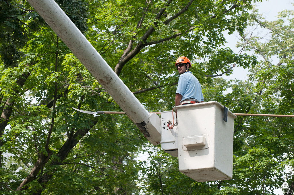 Len McKeown Tree Removal & Arborist | 8 Wright St, Mount Evelyn VIC 3796, Australia | Phone: 1300 135 982