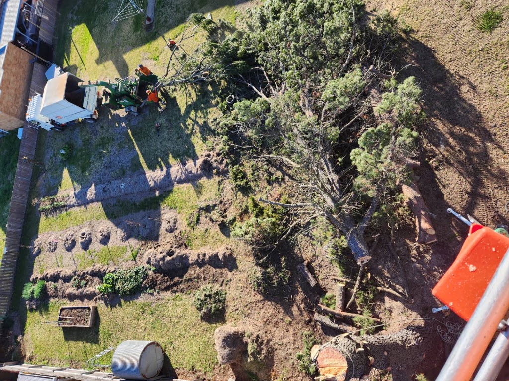 Drewys Vegetation Management | 11 Digby St, Glen Innes NSW 2370, Australia | Phone: 0420 701 696