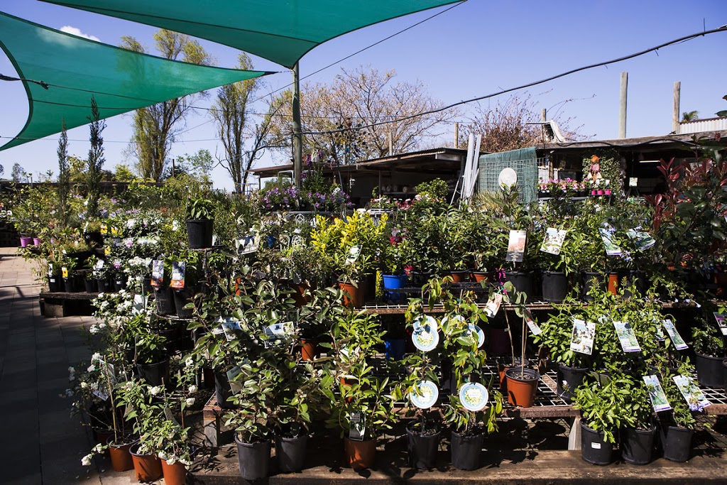 Dalby Garden Centre | 16 Winton St E, Dalby QLD 4405, Australia | Phone: (07) 4669 8003