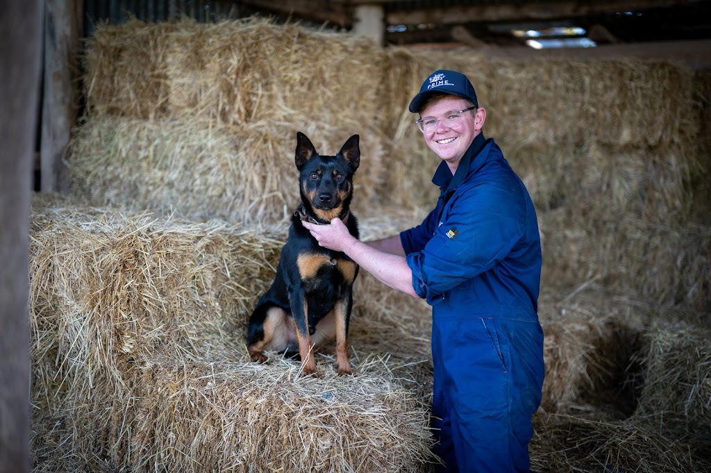 Prime Livestock Veterinary Services | 2 Parwanoff St, Mansfield VIC 3722, Australia | Phone: 0447 496 428