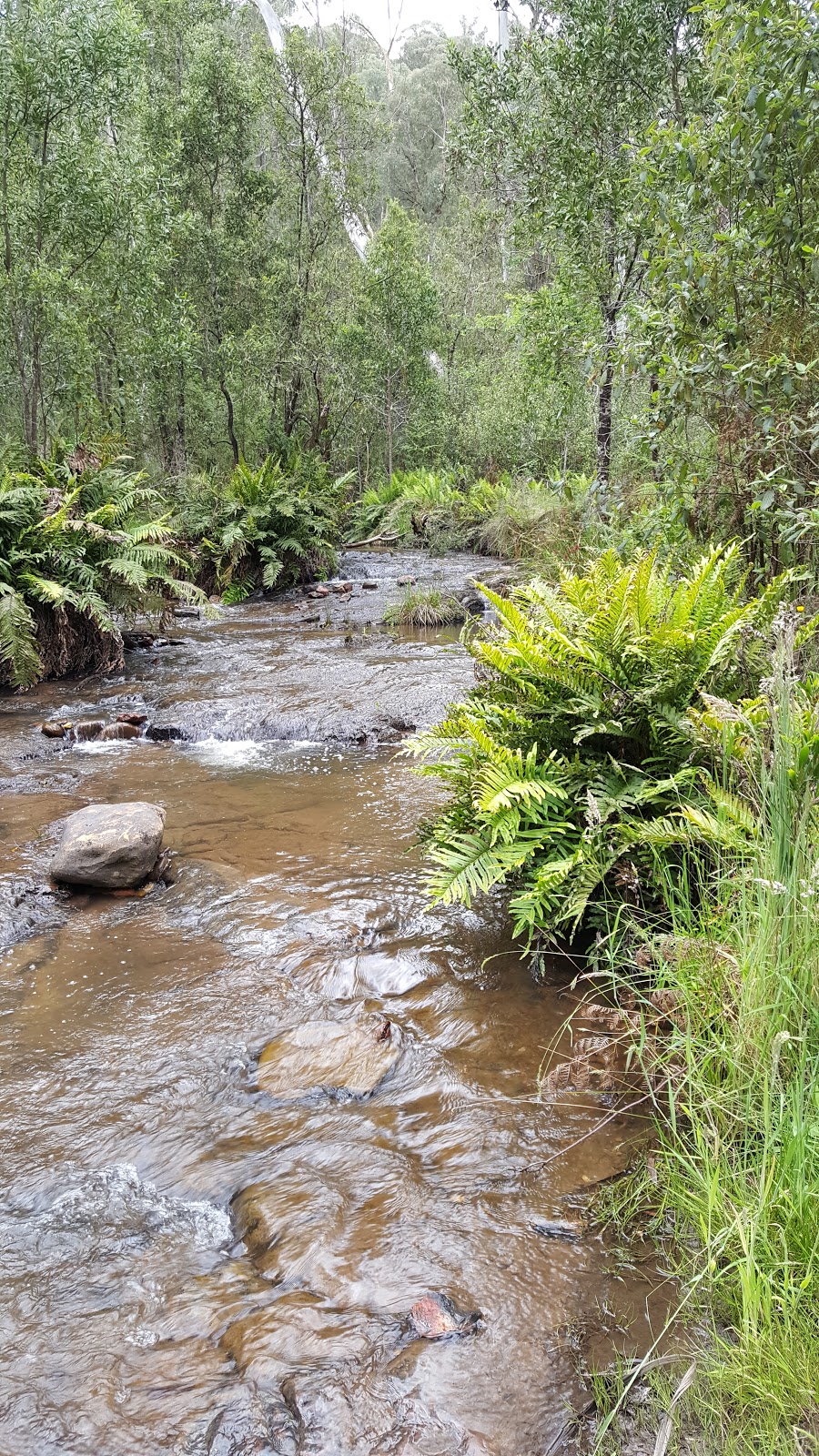 Buttercup 4 Campground | campground | 1380 Buttercup Rd, Merrijig VIC 3723, Australia