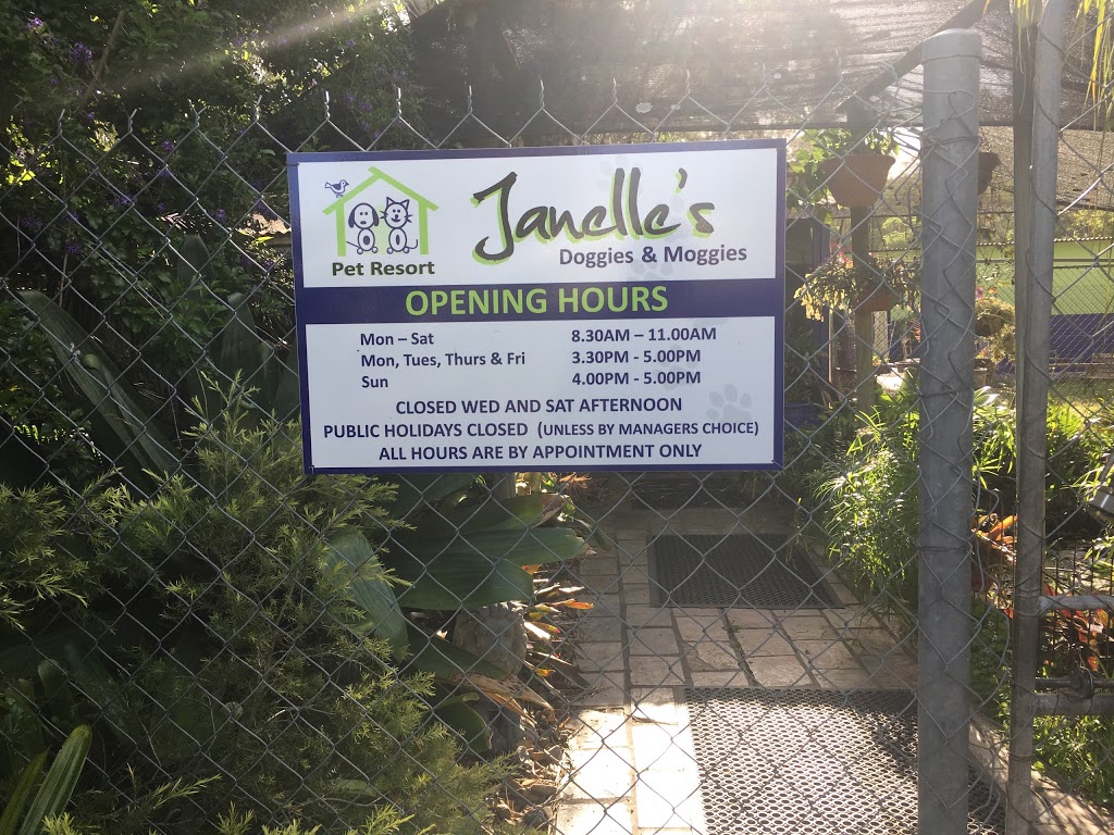 Janelles Doggies and Moggies Pet Resort | 975 Chambers Flat Rd, Chambers Flat QLD 4133, Australia | Phone: (07) 5546 3166