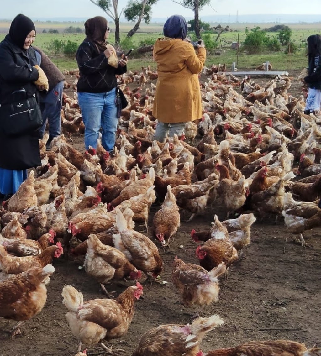 Blue Valley Farms Pty Ltd | 100 Martin Rd, Little River VIC 3211, Australia | Phone: 0425 819 417