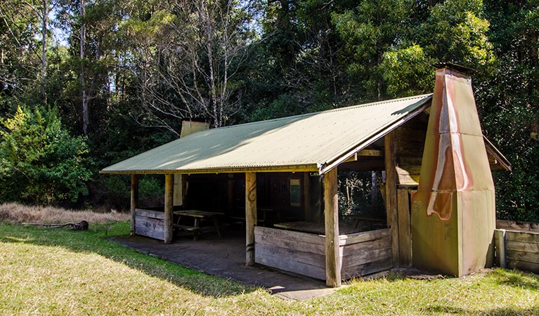 Plateau Beech campground | Plateau Beech Walking Track, Forbes River NSW 2446, Australia | Phone: (02) 6588 5555