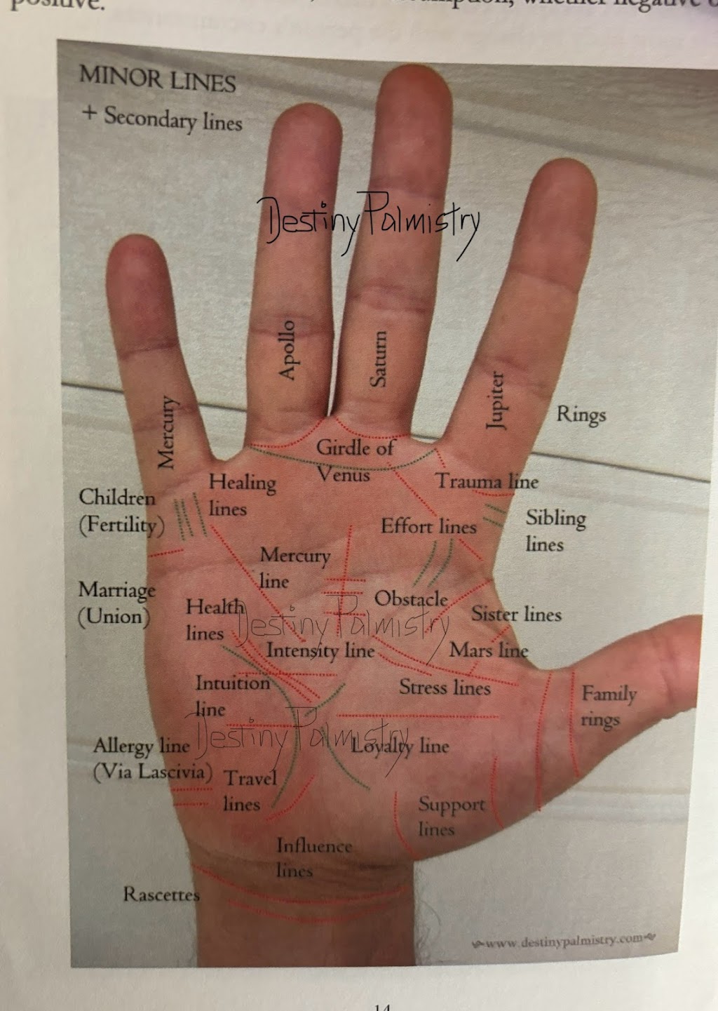 Destiny Palmistry | 37/39 West Sentinel Dr, Greenbank QLD 4124, Australia | Phone: 0476 720 412