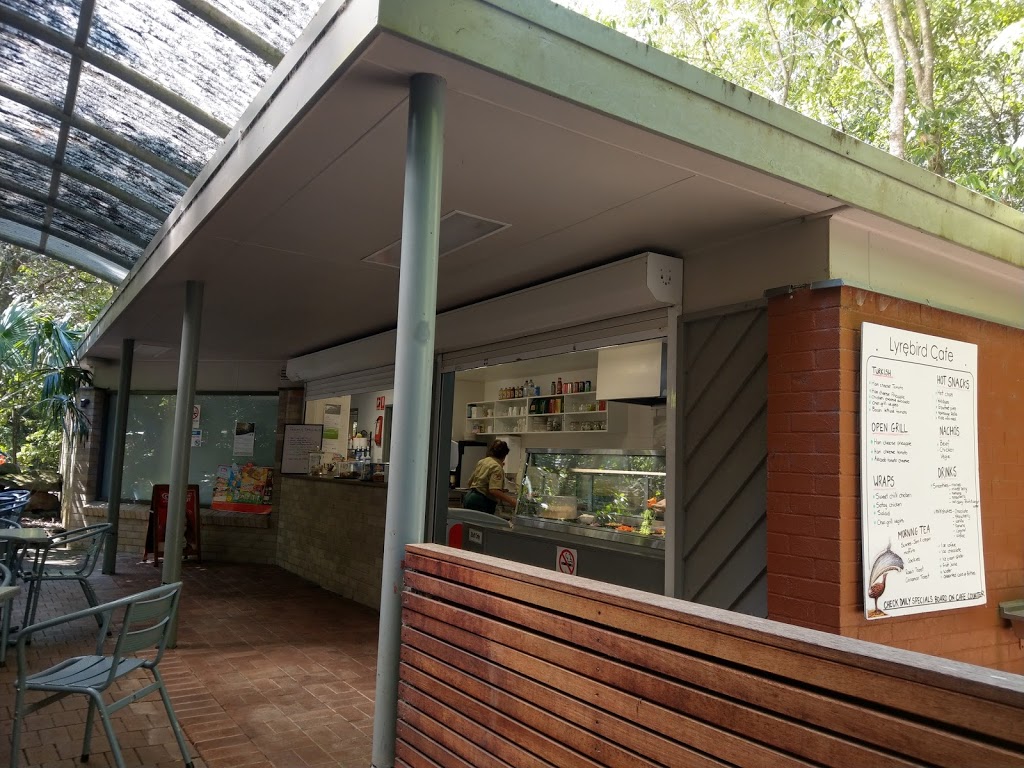 Lyrebird Cafe | cafe | Minumurra Rainforest Walk, Jamberoo NSW 2533, Australia