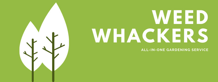 Weed Whackers | Viridis St, Yanchep WA 6035, Australia | Phone: 0426 656 627