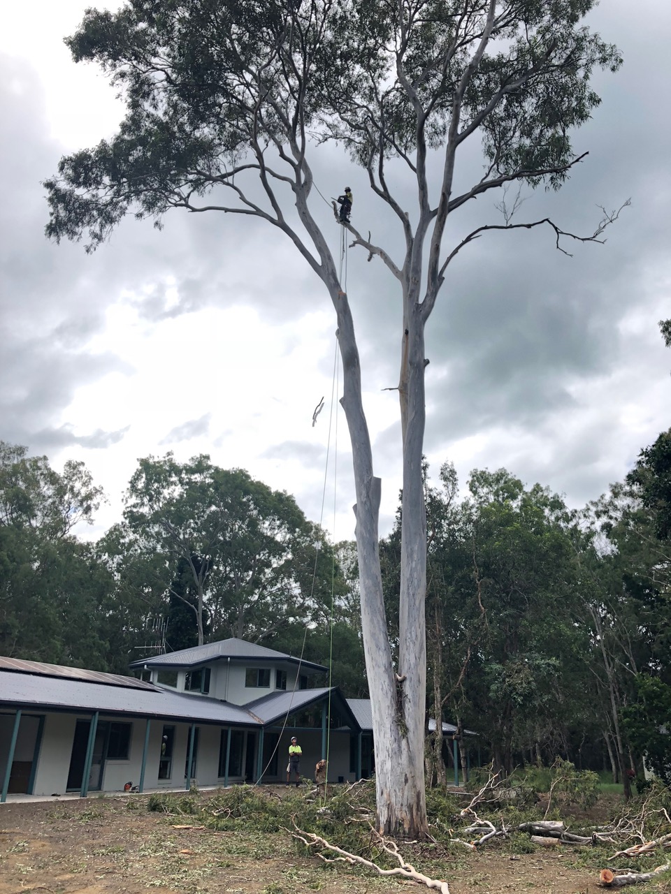 Geoffs Tree Lopping Hervey Bay |  | 3 Namwen Ct, Pialba QLD 4655, Australia | 0409412870 OR +61 409 412 870