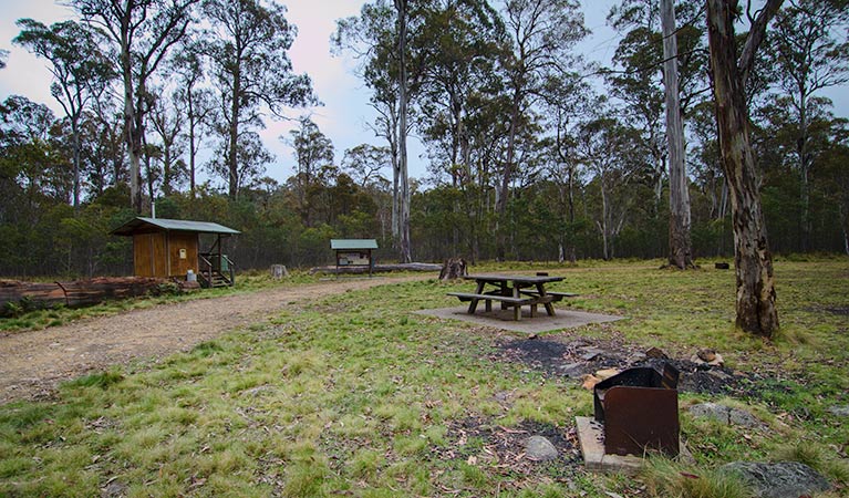 Horse Swamp campground | Horse Swamp Access, Moonan Brook NSW 2337, Australia | Phone: (02) 6545 1128
