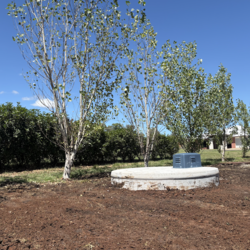 Pikes Waste Water Services | Farquharson Rd, Top Camp QLD 4350, Australia | Phone: 0428 787 462