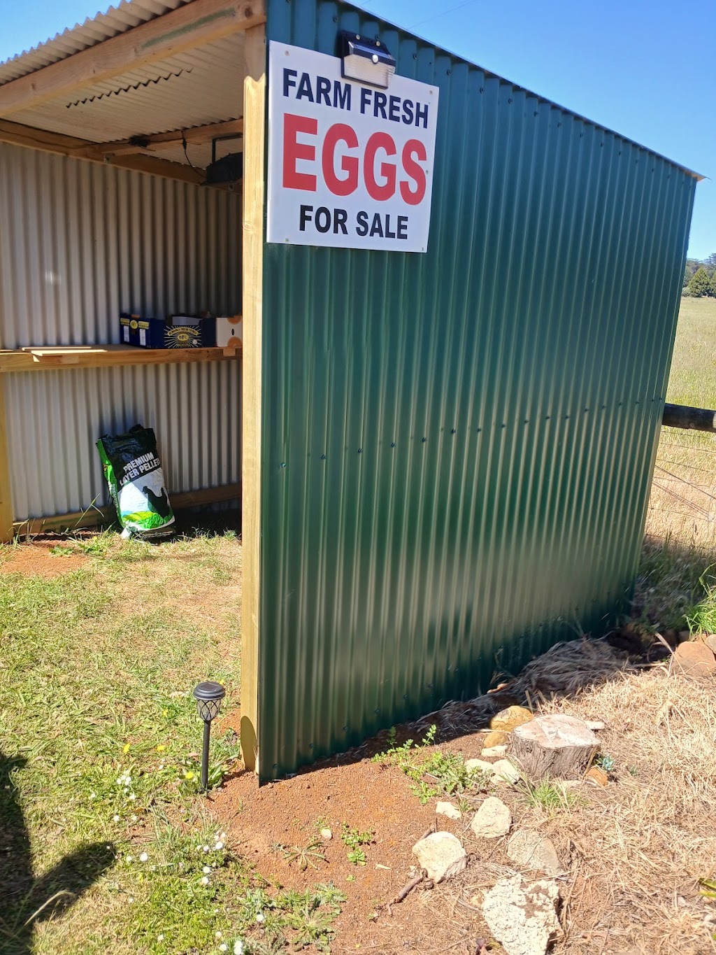 Rowe and Co Free Range Eggs | 9005 Princes Hwy, Bolwarra VIC 3305, Australia | Phone: 0429 008 301