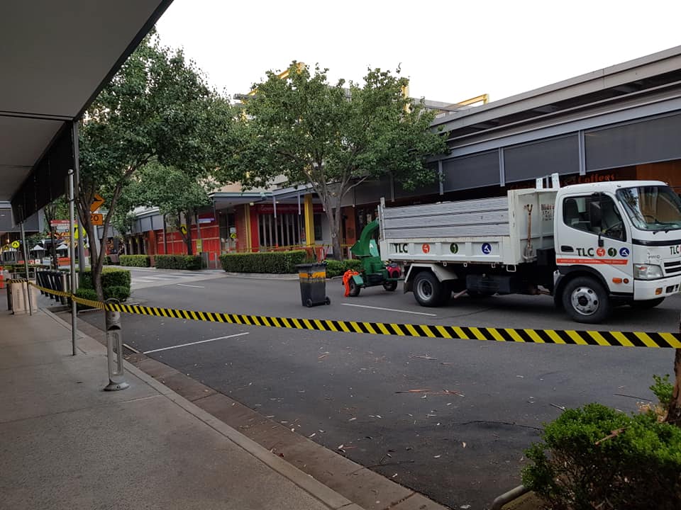 TLC Works and TLC Indoor Gardens | 603-613 Londonderry Rd, Londonderry NSW 2753, Australia | Phone: 1300 852 360