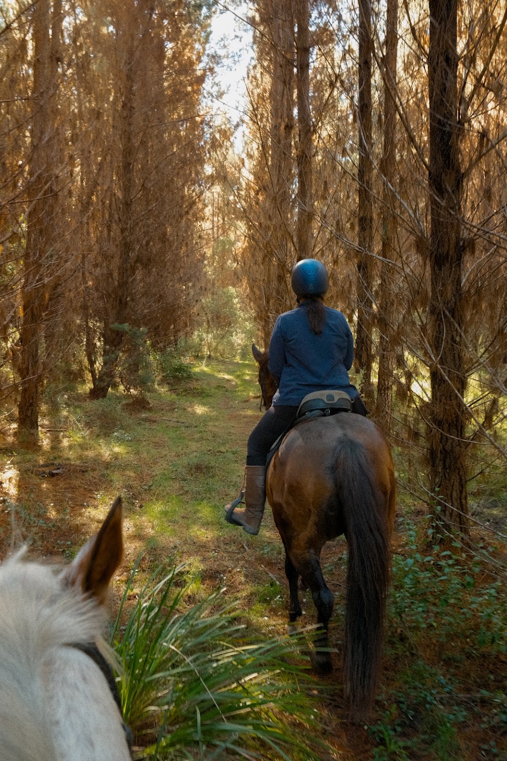 Highlands Equine Trail Adventures ( on your own horse) | 7007 Illawarra Hwy, Moss Vale NSW 2577, Australia | Phone: 0447 224 473