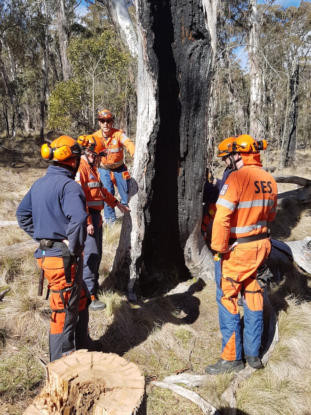 Climb High Tree Services |  | 880 Federal Hwy, Watson ACT 2602, Australia | 0402089736 OR +61 402 089 736