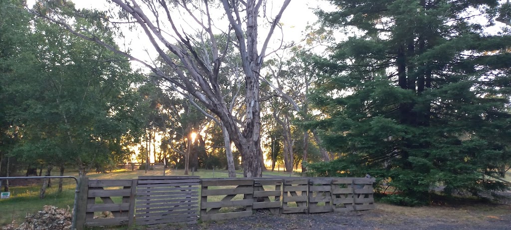 HOPE - Helping Other People Evolve | 370 Yankee Flat Rd, Navigators VIC 3352, Australia | Phone: 0418 891 872