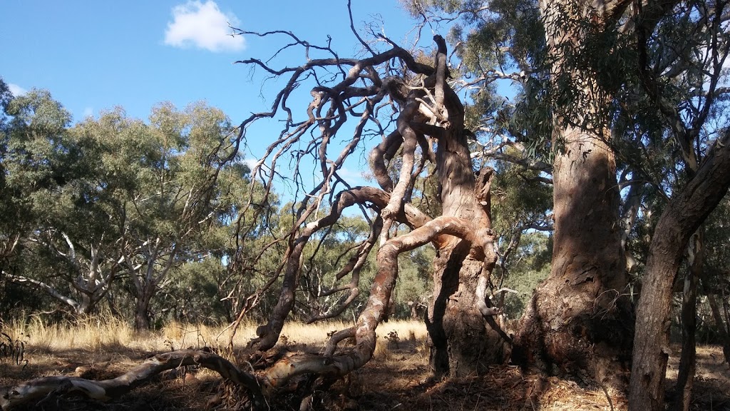 Campaspe River Highway Park | park | Northern Hwy, Ballendella VIC 3561, Australia | 131963 OR +61 131963