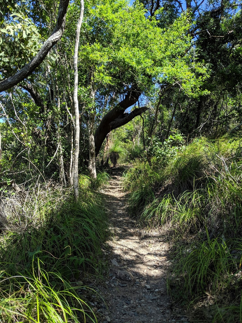 Coral beach walking track | park | Shute Harbour QLD 4802, Australia | 0481820444 OR +61 481 820 444