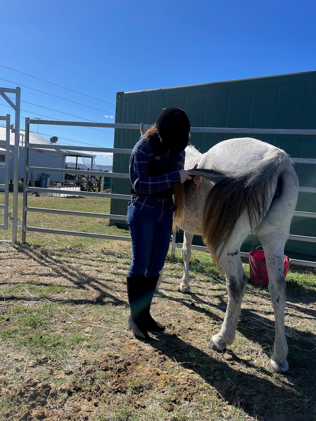 Giddy Up Farm | 2 Nelson Ln, Laidley Creek West QLD 4341, Australia | Phone: 0419 679 465