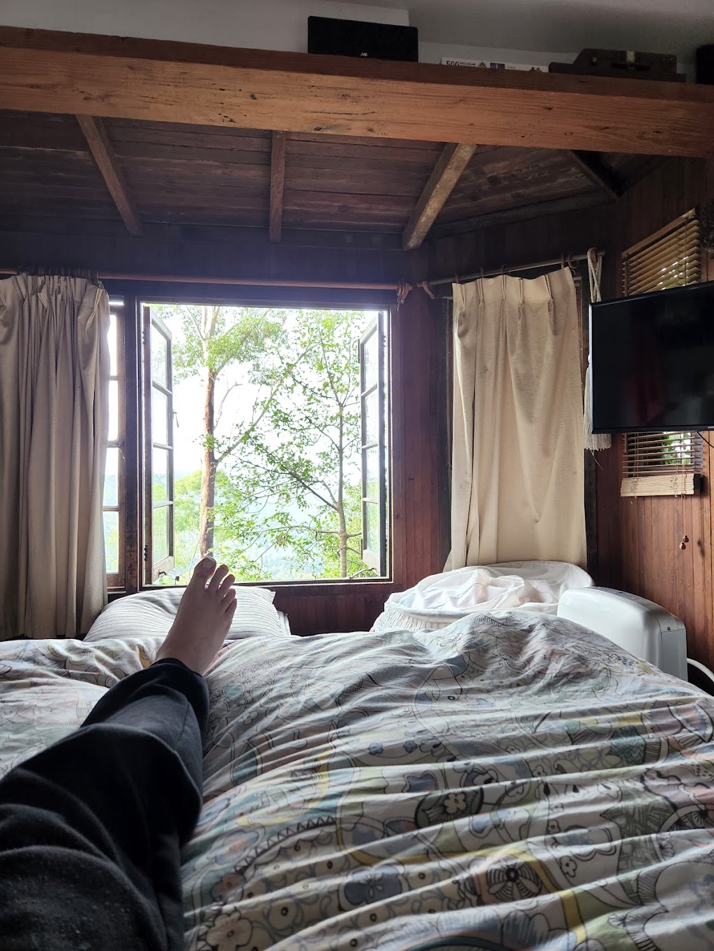 Treehouse in The Pocket | 333 Skyline Rd, Middle Pocket NSW 2483, Australia | Phone: 0415 949 636