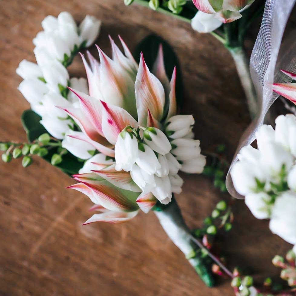Tazha dela Cruz floral design | Georgina St, Newtown NSW 2042, Australia | Phone: 0449 567 351