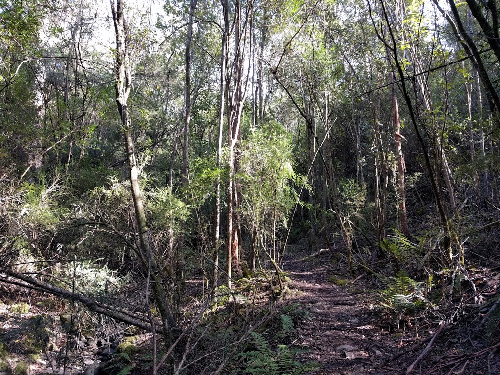 Truganini Reserve | park | Mount Nelson TAS 7007, Australia