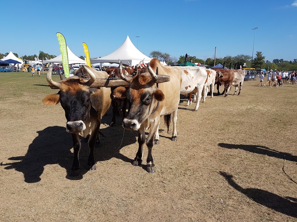 Camden Showground | Argyle St, Camden NSW 2570, Australia | Phone: (02) 4655 8338