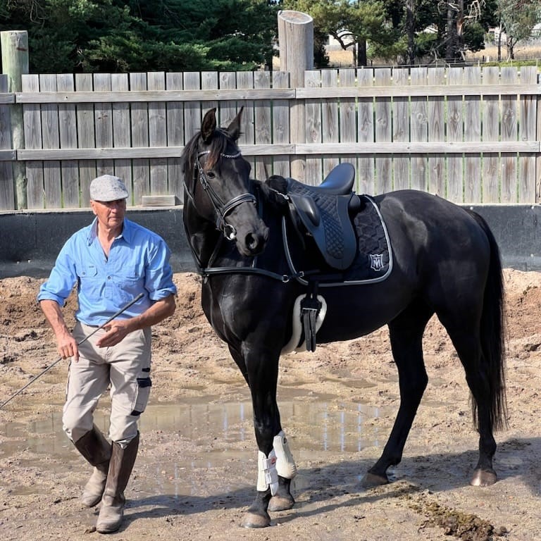 Equus Nexus | Anakie VIC 3213, Australia | Phone: 0428 446 717
