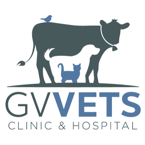 GV VETS | pharmacy | 169 Nixon St, Shepparton VIC 3630, Australia | 0358781144 OR +61 3 5878 1144