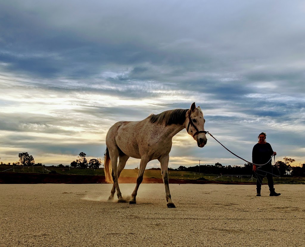 Appletree Equestrian Centre |  | 131 Gayfer Rd, Chiltern VIC 3683, Australia | 0408597268 OR +61 408 597 268