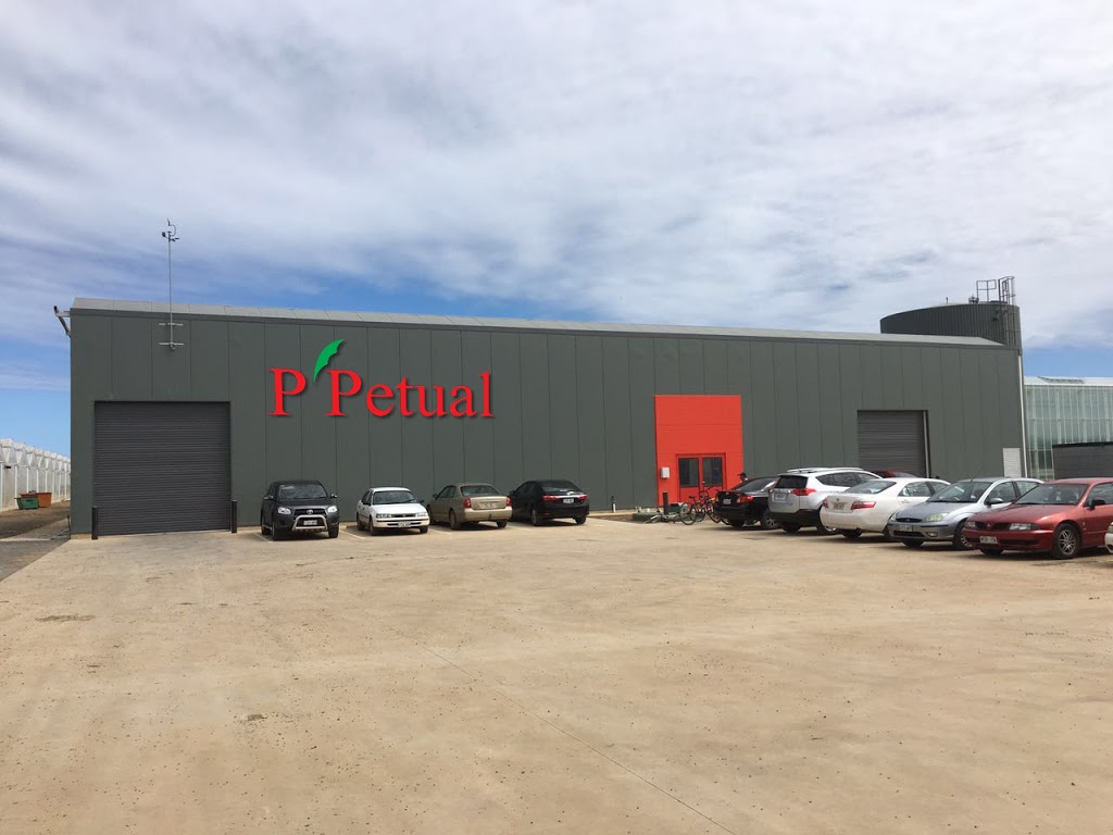 PPetual Holdings | 234 Carmelo Rd, Buckland Park SA 5120, Australia | Phone: (08) 8380 8609