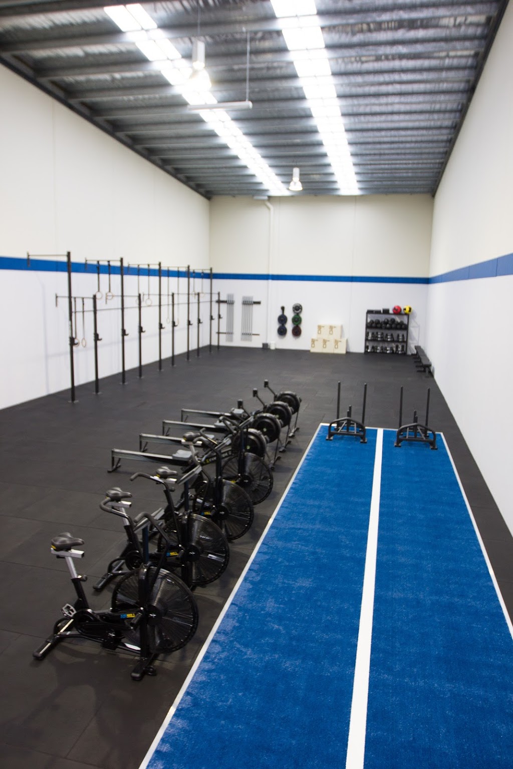 BD Fitness | gym | 37 Steane St, Fairfield VIC 3078, Australia | 0434091770 OR +61 434 091 770