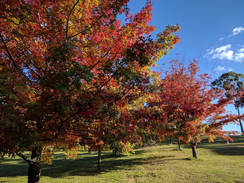 The Bicentennial Arboretum | park | Kentucky St, Armidale NSW 2350, Australia | 0267703600 OR +61 2 6770 3600