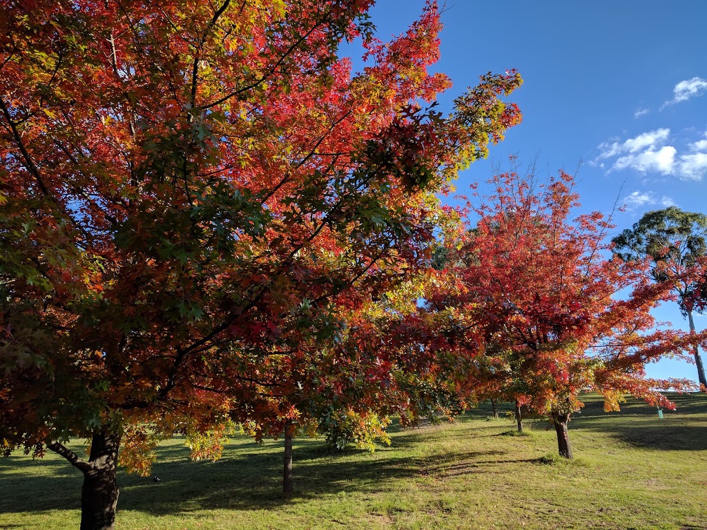 The Bicentennial Arboretum | Kentucky St, Armidale NSW 2350, Australia | Phone: (02) 6770 3600